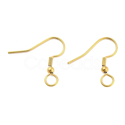 304 Stainless Steel Earring Hooks STAS-B047-30G-1