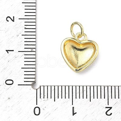 Brass Enamel Pendants KK-B170-01G-03-1