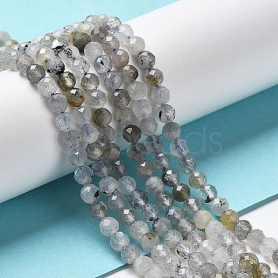 Natural Labradorite Beads Strands X-G-I341-11-1