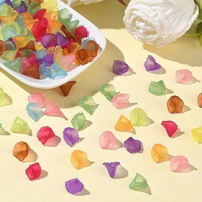 Transparent Acrylic Beads PL622M-1