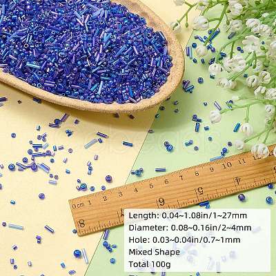 100G Glass Seed Beads SEED-SZ0001-027C-1