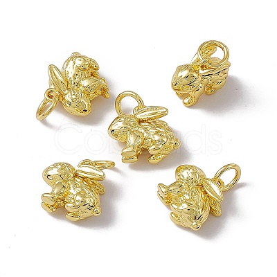 Rack Plating Brass Charms KK-C007-17G-1