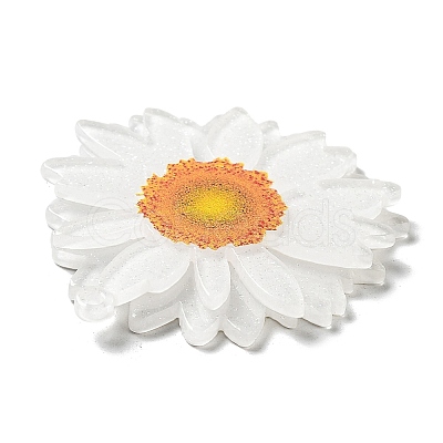 Printed Transparent Acrylic Pendants LS-SACR-P029-B01-1