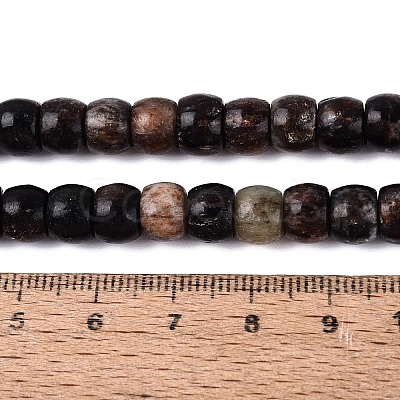 Natural Biotite Beads Strands G-Q616-02A-11-1