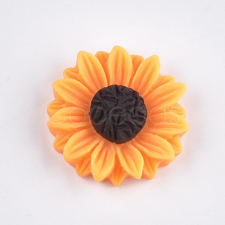Resin Cabochons X-CRES-T010-59B-1