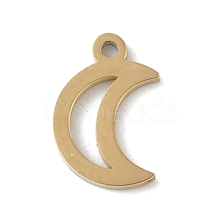 304 Stainless Steel Charms STAS-K306-17A-G-1