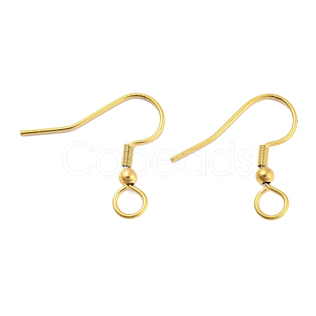304 Stainless Steel Earring Hooks STAS-B047-30G-1