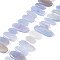 Natural Blue Lace Agate Beads Strands, Nuggets, Top Drilled, 13~36x7~14x3~6.5mm, Hole: 1mm, about 37pcs/strand, 16.06''(40.8cm)