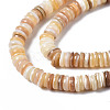 Natural Freshwater Shell Beads Strands SHEL-Q025-001-3