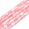 Natural Trochid Shell/Trochus Shell Beads Strands SHEL-N003-26-B05-1