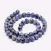 Natural Blue Spot Jasper Bead Strands X-G-R193-15-6mm-3