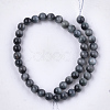 Natural Hawk's Eye Beads Strands G-S333-4mm-027-2