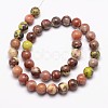 Natural Plum Blossom Jasper Beads Strands G-A163-02-8mm-2