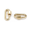 Brass Screw Carabiner Lock Charms KK-T047-08-3