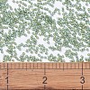 MIYUKI Delica Beads X-SEED-J020-DB1282-4