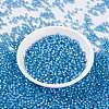 MIYUKI Round Rocailles Beads SEED-JP0009-RR0573-2