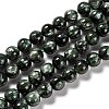 Natural Seraphinite Beads Strands G-E557-22D-1