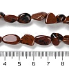 Natural Mahogany Obsidian Beads Strands G-P497-01C-05-5
