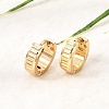 201 Stainless Steel Hoop Earrings SA-CBA4A0D-02G-2