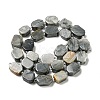 Natural Eagle Eye Stone Beads Strands G-G072-B01-01-3