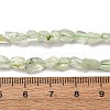 Natural Prehnite Beads Strands G-I389-A19-5
