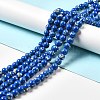 Synthetic Turquoise and Sea Shell Assembled Beads Strands G-D482-01D-03-1