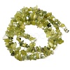 Natural Jade Chip Beads Strands G-B160-B02-3
