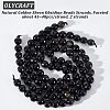 2 Strands Natural Golden Sheen Obsidian Beads Strands G-OC0003-52-4
