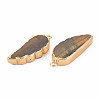Natural Tiger Eye Pendants G-N326-127-A04-3