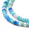 Glass Seed Bead Strands LAMP-B021-04L-4