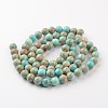 Natural Imperial Jasper Beads Strands X-G-I122-10mm-12-2