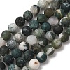Natural Tree Agate Beads Strands G-T106-038-2