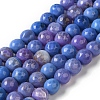 Dyed & Heated Natural Fire Crackle Agate Beads Strands G-P539-B01-03-1