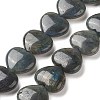 Natural Labradorite Beads Strands G-G996-B11-1