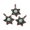 Natural Amazonite Pendants G-A297-06R-18-1