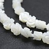 Natural White Shell Beads Strands SSHEL-P015-01A-12mm-3