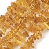 Natural Amber Beads Strands G-L095-D01-03-2