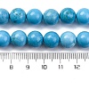 Dyed Natural Magnesite Beads Strands G-P558-A01-01A-5