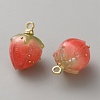 Plastic Pendants FIND-WH0433-14B-2