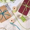 3 Rolls 2 Colors Velvet Ribbon OCOR-CP0001-20A-3