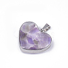 Natural Amethyst Pendants X-STAS-T043-01H-2