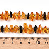 Natural Amber Beads Strands G-T138-237-4