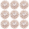 30Pcs Alloy Rhinestone Cabochons ALRI-GA0001-09KCG-1