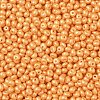 6/0 Glass Seed Beads X1-SEED-L011-08A-19-3