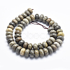 Natural Fossil Coral Beads Strands G-K256-10D-2