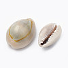 Cowrie Shell Beads SSHEL-T004-04-2