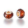 Handmade Glass European Beads GPDL25Y-70-2