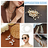 1 Strand Natural Cultured Freshwater Pearl Beads Strands PEAR-PH0001-16-6