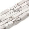 Synthetic Howlite Beads Strands G-K340-D06-01-1