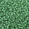 MIYUKI Round Rocailles Beads SEED-JP0008-RR0646-3